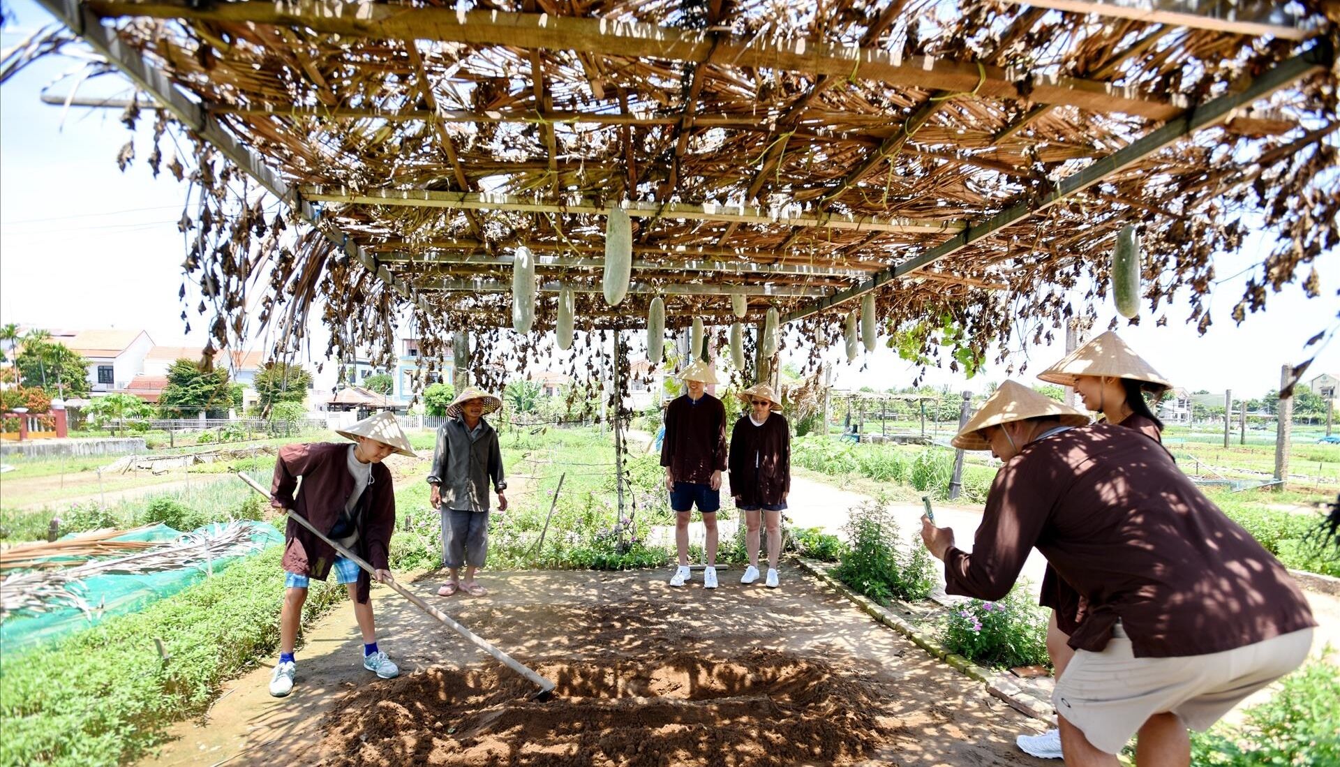 Capture the timeless beauty of Tra Que’s agricultural heritage
